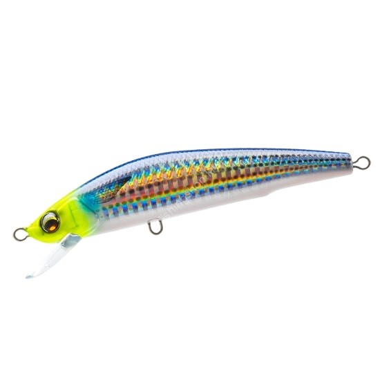 DUEL Aile Magnet TG Minnow 125F #02 HCHM Chart Head Bora