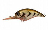 DSTYLE Crawl Up bO CRAW
