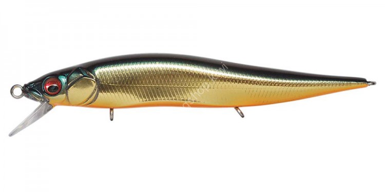 MEGABASS Vision Oneten Jr. # Champagne Kinkuro