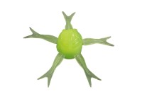 JACKALL Jimmy Henge 42 Power Salt #Site Lime Chart
