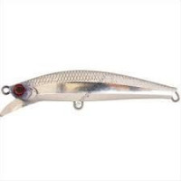 JACKSON Pin Tail Spanish mackerel tune 35g SWE Sawaranoesa