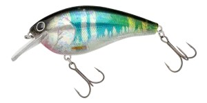 NORIES Shot Stormy Magnum TDM Rattle #365CH Clear Holo Oikawa