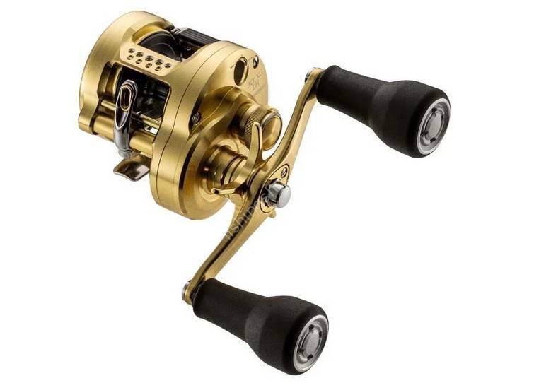 SHIMANO 23 Calcutta Conquest MD 301XGLH Reels buy at Fishingshop.kiwi