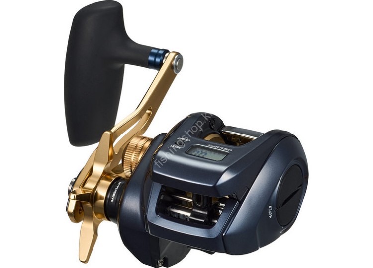 DAIWA 23 Tierra LJ IC200H
