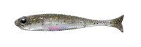 FISH ARROW Flash-J Huddle 1 SW#127