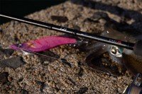 DAIWA Emeraldas Stoist RT 76MMH