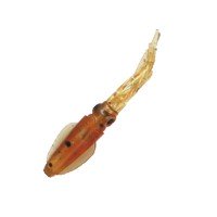 LUMICA C00189 Puniika 3 inch Pumpkin
