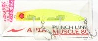 APIA Punch Line Muscle 80 # 12 Skeleton Chart