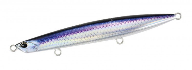 DUO Beach Walker Wedge 120S SNA0534 UV Anchovy