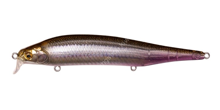 MEGABASS Ito Shiner SSR #FA Ghost Wakasagi