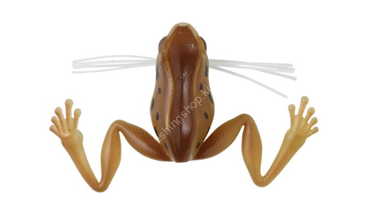 CORMORAN Mama Nama Gaeru 36mm 5.0g #05 Yama Aka Gaeru