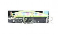 JACKSON Pin Tail Spanish mackerel tune 42g CCN chart CND