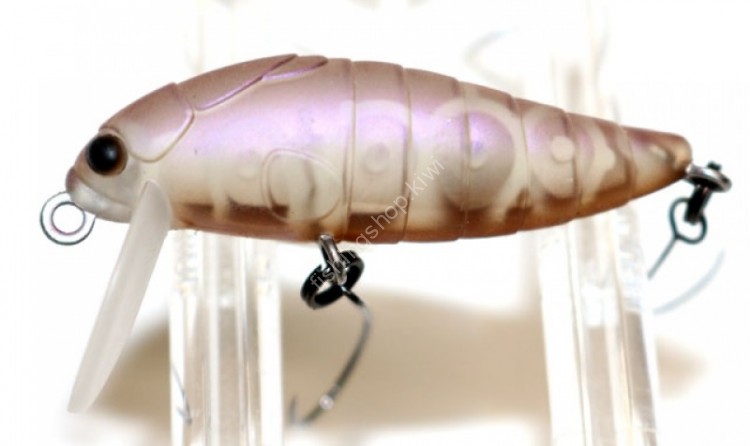 OFFICE EUCALYPTUS Cicada 38 F Initial H