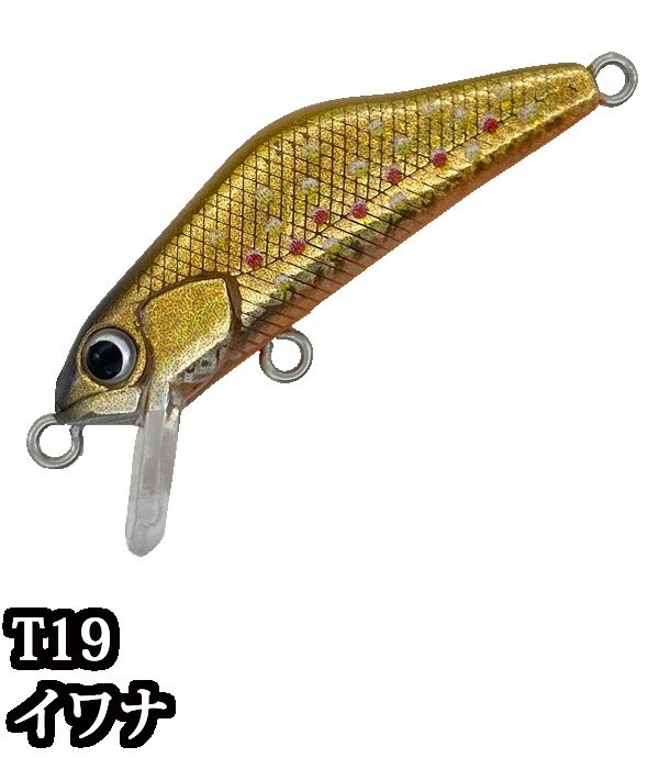 IVYLINE T-Gravits 36S T19