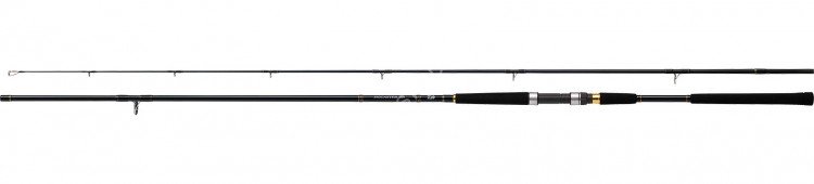 DAIWA Jigcaster 100M N