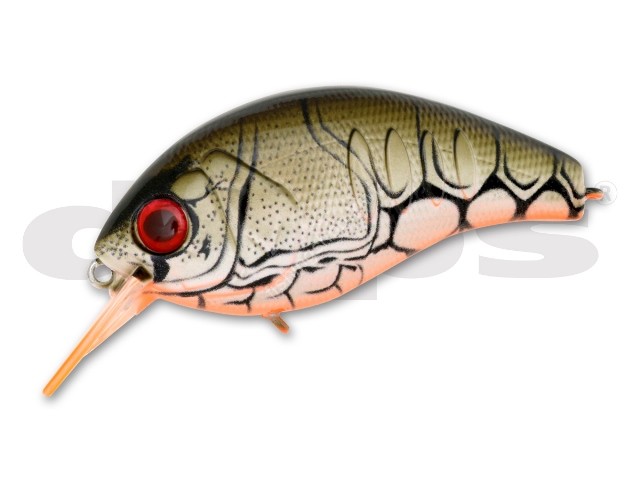 DEPS Korrigan Magnum 150 #44 Orange Belly Claw