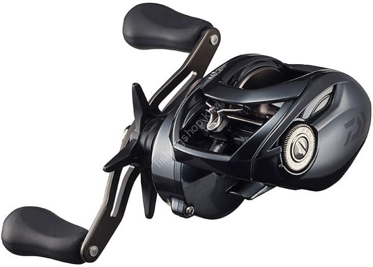 DAIWA Tatula TW 300XH