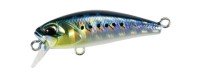 DUO Tetra Works Toto Fat 35F #AHA0011 Maiwashi