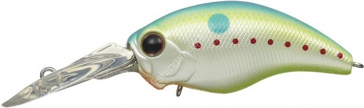 EVERGREEN Rattle-In Wildhunch # 271 Champion Shad