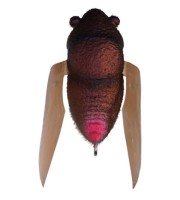MEGABASS Tiny Siglett #FF Matte Brown Bag
