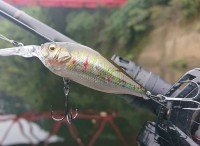 MEGABASS DEEP-X 100 LBO (SP-C) Deadly Fish