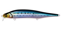 MEGABASS X-80 Magnum SR #FA Iwashi
