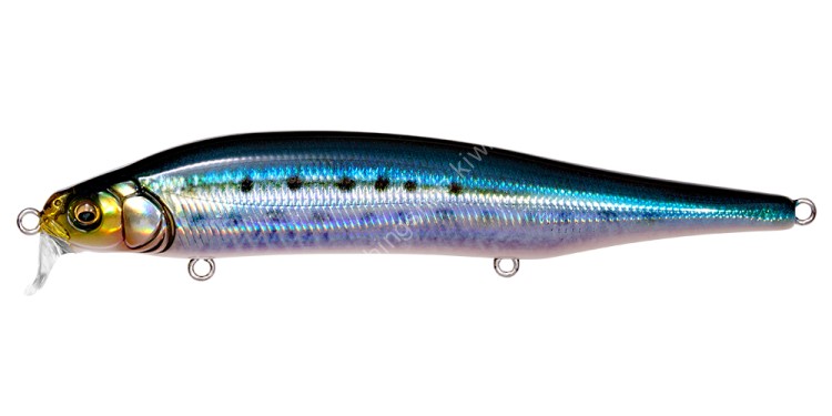 MEGABASS X-80 Magnum SR #FA Iwashi