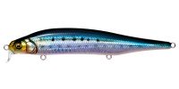 MEGABASS X-80 Magnum SR #FA Iwashi