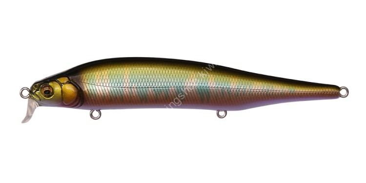 MEGABASS Ito Shiner SSR #Wagin Oikawa