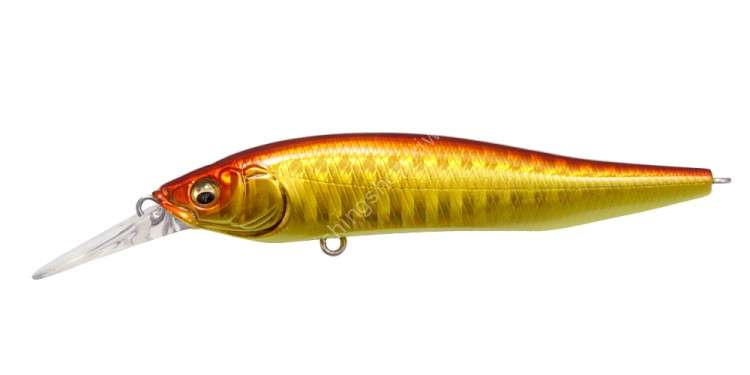 MEGABASS X-Nanahan+1 SW 75F 7.0g #GG Akakin CB