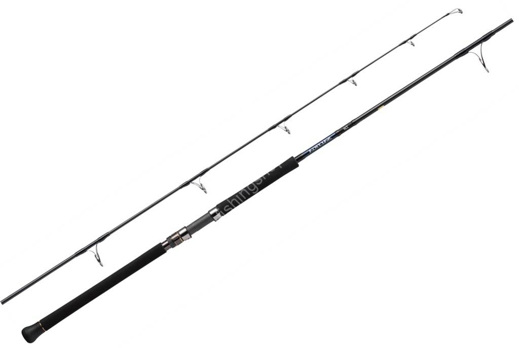 ロピア 爆買い Saltiga DAIWA C Fishingshop.kiwi at buy Rods 71-2 ロッド