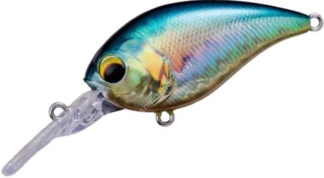 PAY FORWARD One Eight MR #009 American Sunfish