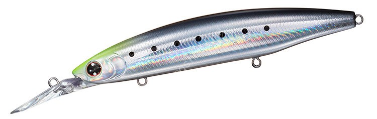 DAIWA Shore Line Shiner Z Set Upper 125S-DR #Adel Chart Head Iwashi