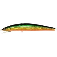 HALCYON SYSTEM Gozzo 12 Hi-F #31 Green Gold Orange Belly
