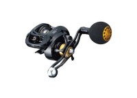 DAIWA Vadel Bay Jigging 100SHL