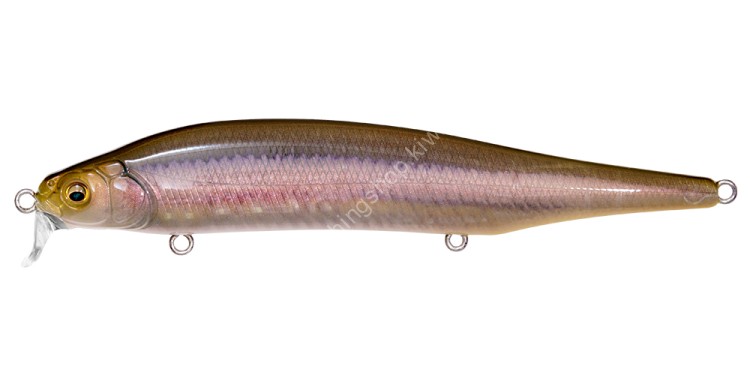 MEGABASS X-80 Magnum SR #FA Hama Kiss