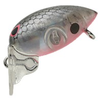 CORMORAN Viva Shizuku-chan 2.4g # 100N REF Silver Shiner
