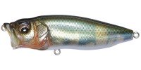 MEGABASS PopMax #076 Takumi Hasu