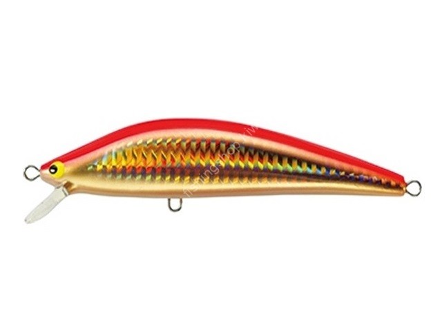 TACKLE HOUSE K-ten Blue Ocean BKS140 #110 Gold Red