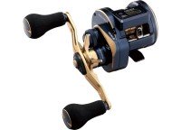 DAIWA 21 Saltiga IC 100P-DH