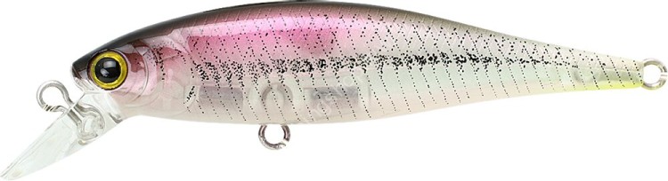 LUCKY CRAFT Pointer 65SP #Live North Lake Wakasagi