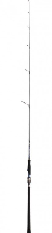 DAIWA Saltiga R J62S-3 LO