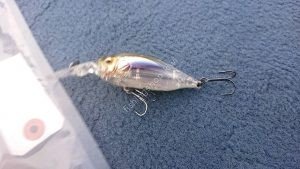 MEGABASS DEEP-X 100 LBO (SP-C) Boso Wakasagi
