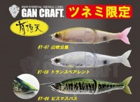 GAN CRAFT Ayuja Jointed Claw 178 F #T-08 Transparent