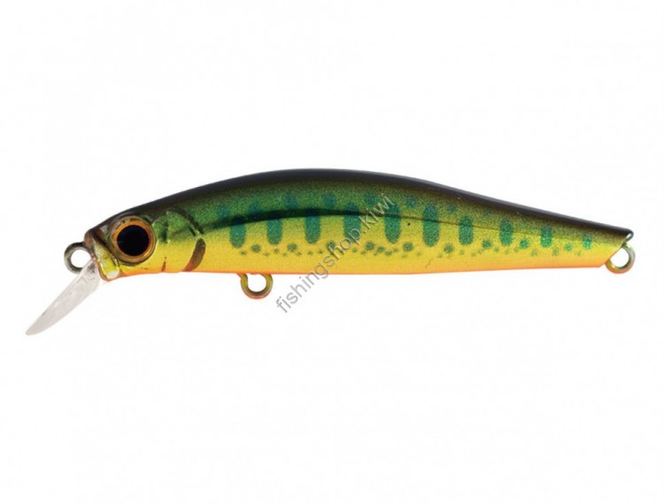 JACKSON Artist FR55 KY Gold Trout