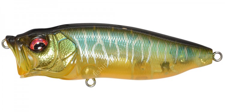 MEGABASS PopMax #077 Gin Tonic Tiger