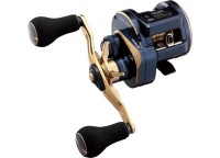 DAIWA 21 Saltiga IC 100PL-DH