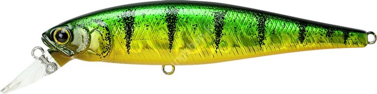 LUCKY CRAFT Pointer 100SP #Aurora Green Perch