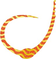 SASA LABO KCSC-08 King Cobra Single Curly #08 Inazuma Orange