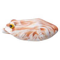 WHIPLASH FACTORY A.M.G.R-NMT #MBL02 Pumpkin/White